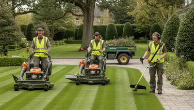 Professional tree service crew in Saint Louis, MO providing trimming and lawn care for a tidy yard