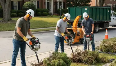 Shrub removal service in Saint Louis, MO by Arbor Tree Care for overgrown landscape cleanup
