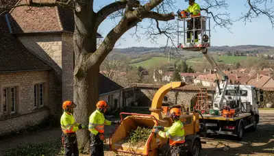Tree service crew in Saint Louis, MO providing professional tree trimming and pruning services